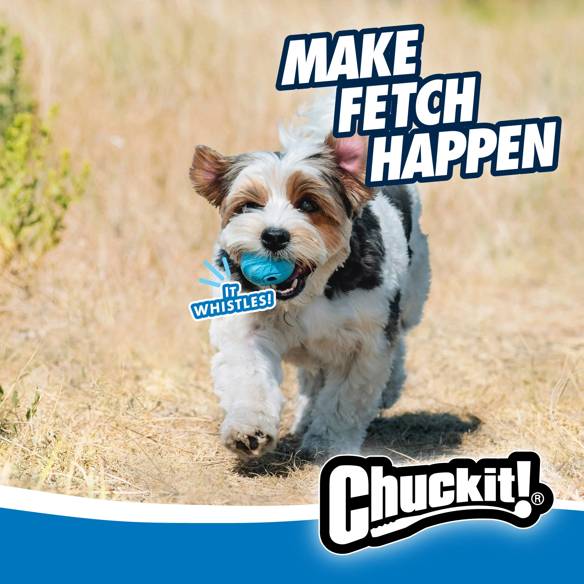 Psí míček s pískacím zvukem M, ø 6 cm, 2 kusy – Chuckit! The Whistler - Obrázek 5