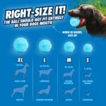 Skákací míčky pro psy z recyklované gumy, 2 kusy – Chuckit! Rebounce Fetch Ball M - Obrázek 6