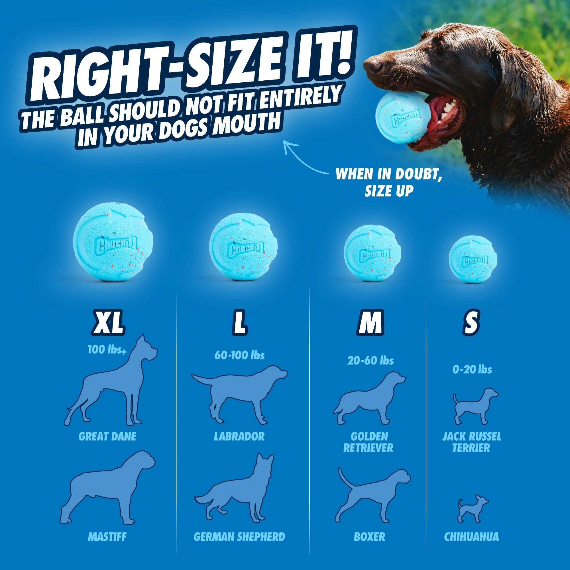 Skákací míčky pro psy z recyklované gumy, 2 kusy – Chuckit! Rebounce Fetch Ball M - Obrázek 6