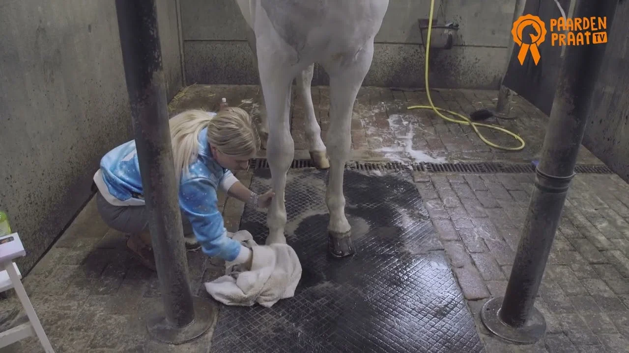 Olej na kopyta s tea tree olejem, 500 ml – Paardenpraat TV Hoefglansolie - Obrázek 2