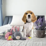 Plyšový králíček pro psy s pískátkem pro štěňata – Bunny Puppy Crunchy Chew - Obrázek 3