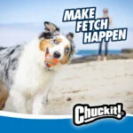 Házeč míčků s míčkem, 45 cm – Chuckit! Junior Ball Launcher - Obrázek 6