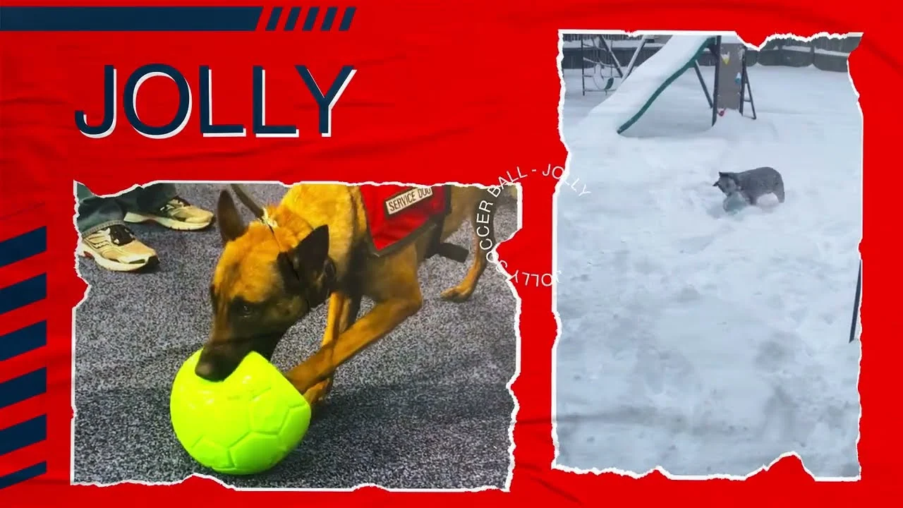 Aportovací míč pro psy, oranžový a bílý, 20 cm – Jolly Pets Jolly Soccer Ball - Obrázek 4