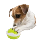 Výcviková tlačítka pro psy s funkcí nahrávání, 4 ks, 11 x 11 x 6 cm – AFP Interactives – Dog Interpreter - Obrázek 2