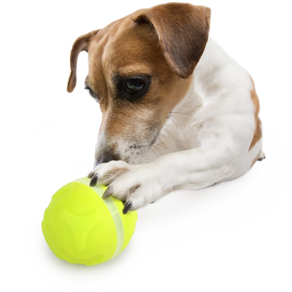 Automatický dávkovač pamlsků pro psy s kulovým dálkovým ovládáním – AFP Interactives - Lucky Treat with Rolling Ball - Obrázek 5