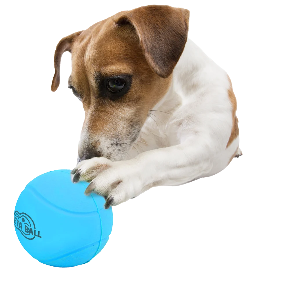 Gumový míček pro psy s chrastivým zvukem, ø 6,3 cm – AFP Meta Ball Bounce & Rattle Ball - Obrázek 3