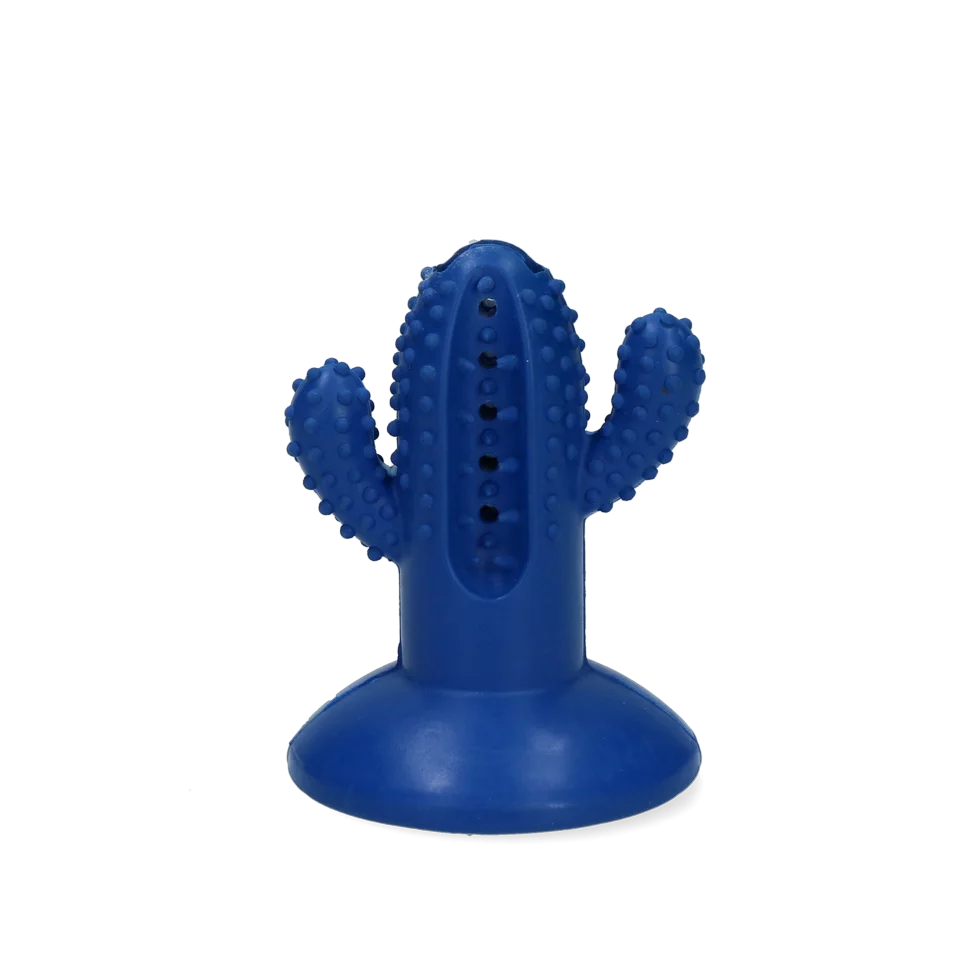 Gumová žvýkací hračka Kaktus s přísavkou, S, modrá, 6,4 x 8,4 x 6,5 cm – AFP Dental Chews - Dental Cactus - Obrázek 2