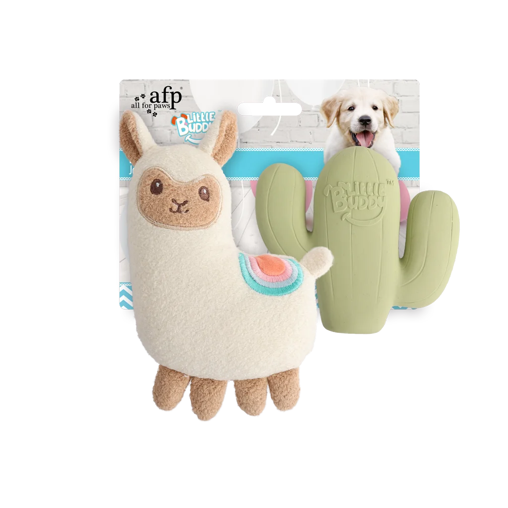 Sada hraček pro štěňata s plyšovou hračkou a pískátky, 2 kusy – AFP Little Buddy 2-Pack Toy Fiesta - Obrázek 1