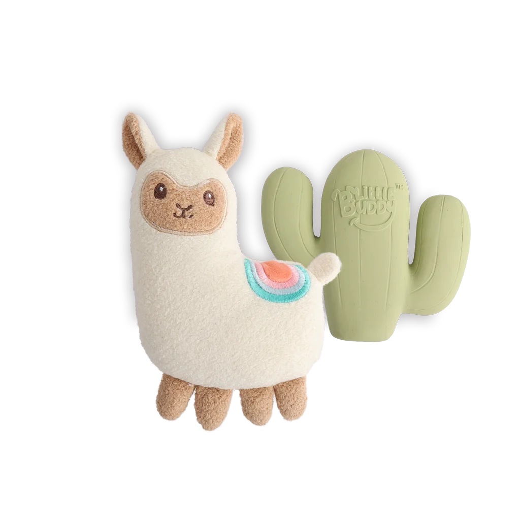 Sada hraček pro štěňata s plyšovou hračkou a pískátky, 2 kusy – AFP Little Buddy 2-Pack Toy Fiesta - Obrázek 2