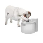 Fontánka pro psy, bezdrátová se snímačem pohybu, 2,5 l – AFP Lifestyle 4 Pets Wireless Fountain - Obrázek 2