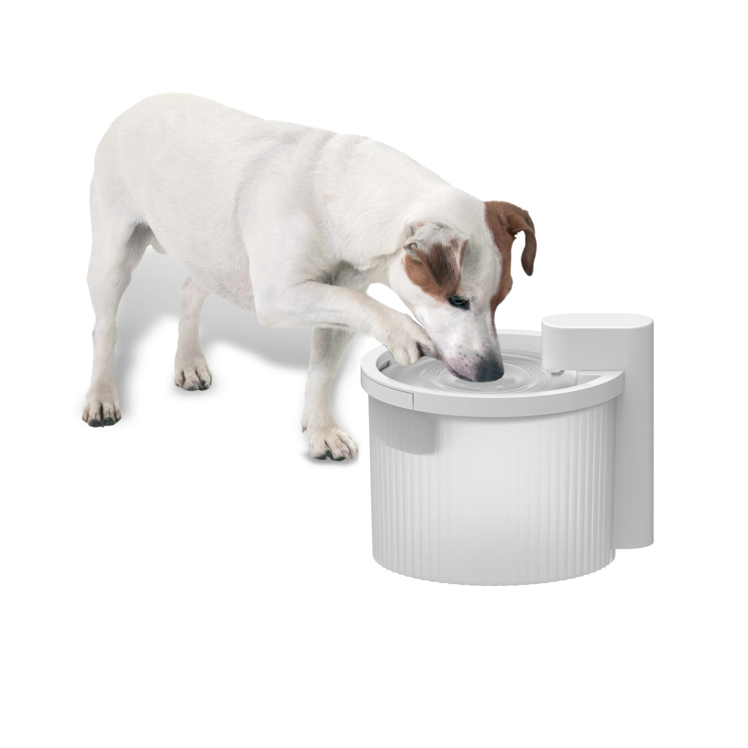 Fontánka pro psy, bezdrátová se snímačem pohybu, 2,5 l – AFP Lifestyle 4 Pets Wireless Fountain - Obrázek 2