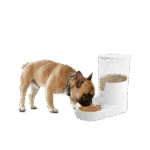 Automatická miska na krmivo se zásobníkem, 3 l – AFP Lifestyle 4 Pets Gravity Pet Food Feeder - Obrázek 2
