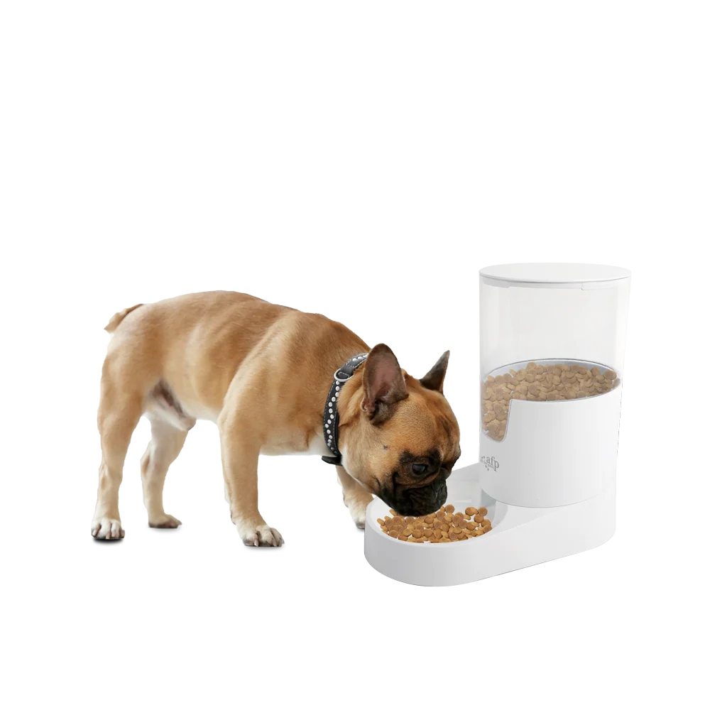 Automatická miska na krmivo se zásobníkem, 3 l – AFP Lifestyle 4 Pets Gravity Pet Food Feeder - Obrázek 2