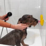 Kachnička do vany pro psy s přísavkou a silikonovými výstupky, 13 x 10 cm – AFP Calm Paws - Bath Anti-anxiety Duck - Obrázek 2
