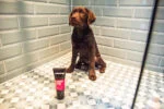 Šampon pro štěňata na citlivou kůži, 250 ml – Animology Puppy Love - Obrázek 3