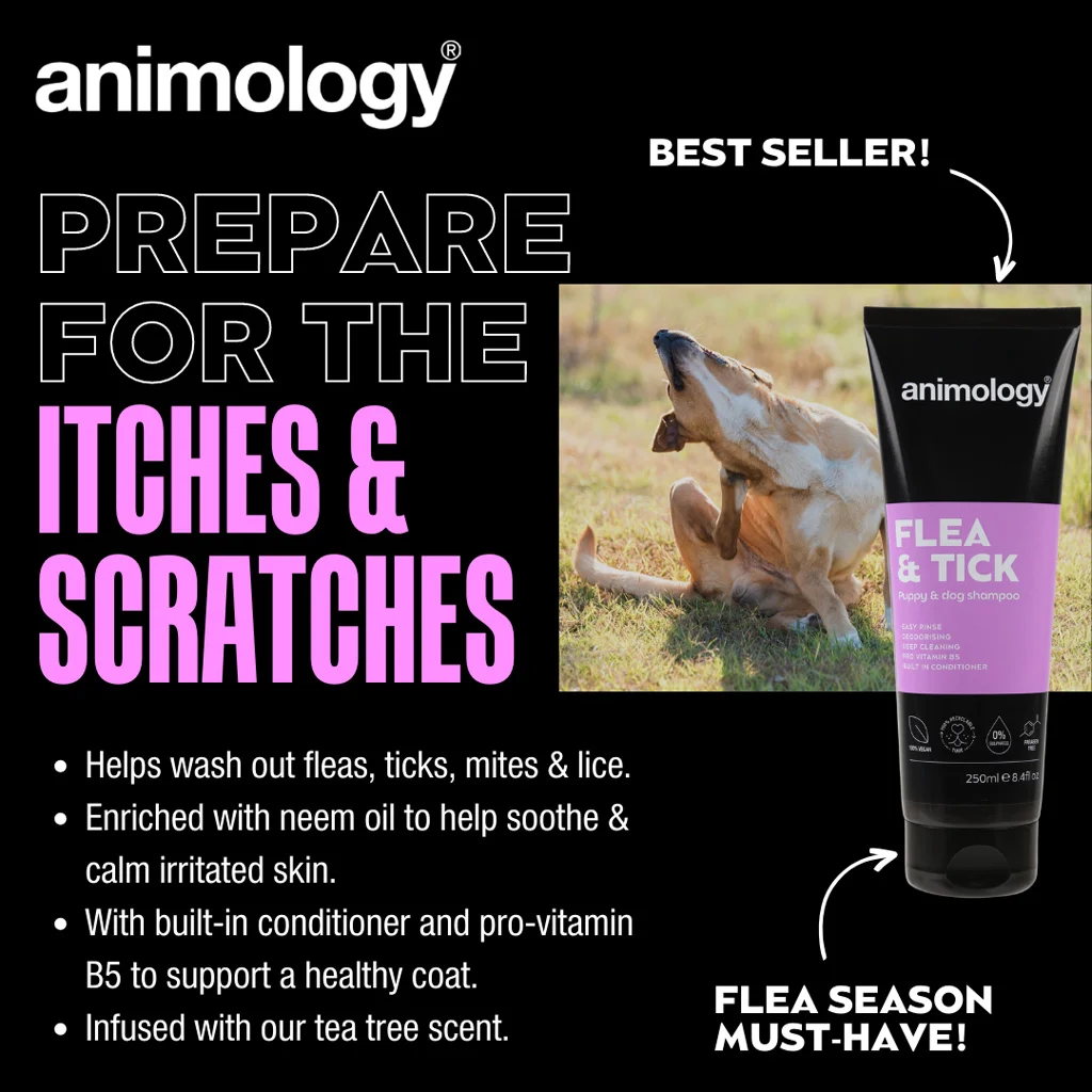 Šampon pro psy na smývání blech a klíšťat, 250 ml – Animology Flea & Tick - Obrázek 2