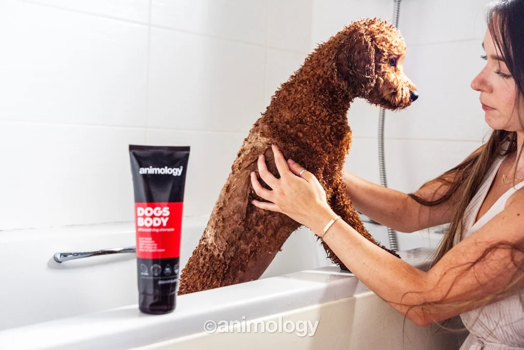 Jemný šampon pro psy s kondicionérem, 250 ml – Animology Dogs Body - Obrázek 3