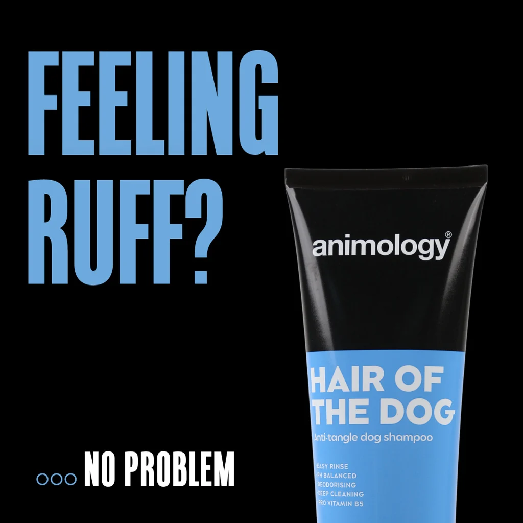 Rozčesávací šampon pro psy s kondicionérem, 250 ml – Animology Hair Of The Dog Anti-Tangle - Obrázek 2