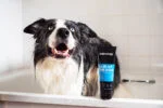 Rozčesávací šampon pro psy s kondicionérem, 250 ml – Animology Hair Of The Dog Anti-Tangle - Obrázek 3