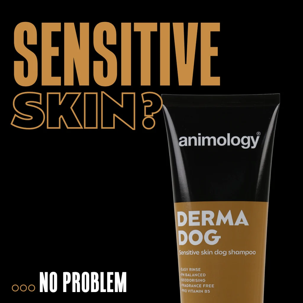 Šampon pro psy s citlivou pokožkou, 250 ml – Animology Derma Dog Sensitive Skin - Obrázek 2