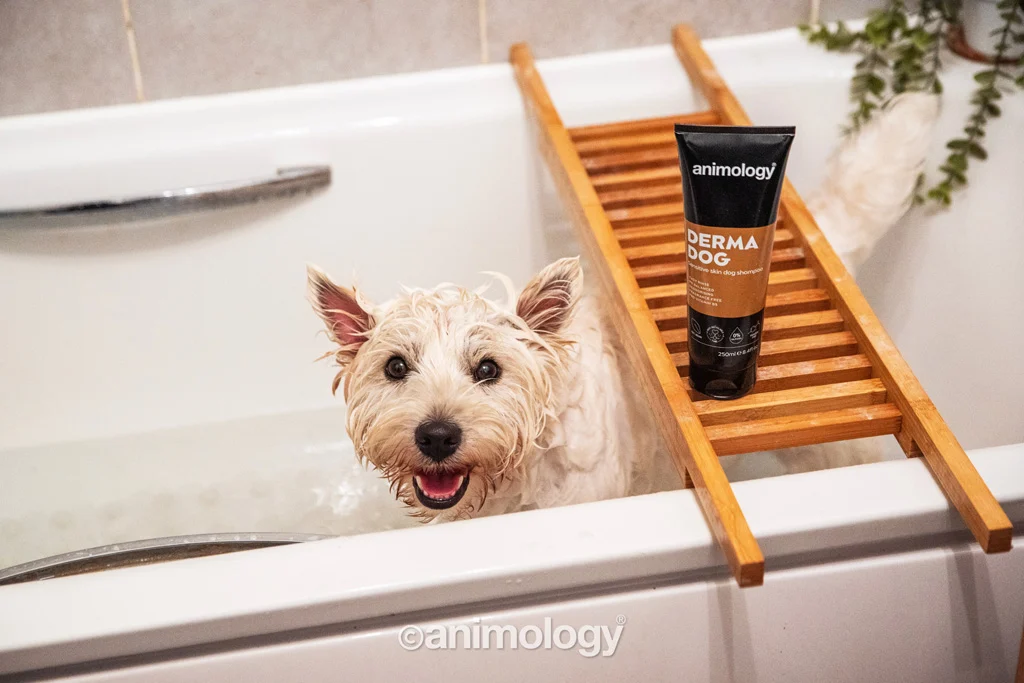 Šampon pro psy s citlivou pokožkou, 250 ml – Animology Derma Dog Sensitive Skin - Obrázek 3
