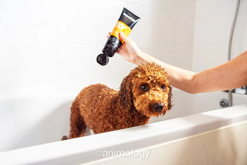 Šampon pro psy s kudrnatou srstí, 250 ml – Animology Curly Coat - Obrázek 2