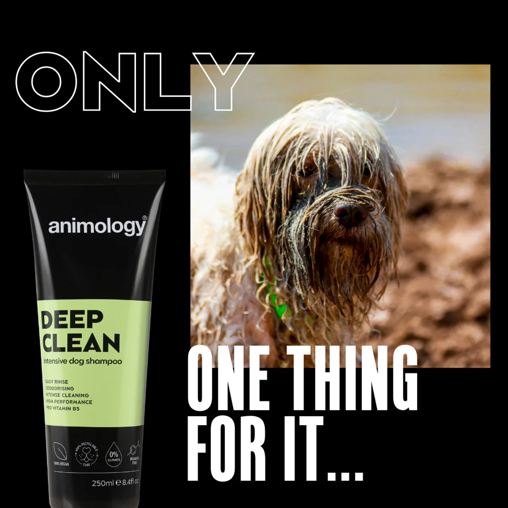 Šampon pro psy na intenzivní čištění, 250 ml – Animology Deep Clean Intensive - Obrázek 2