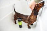Šampon pro psy na intenzivní čištění, 250 ml – Animology Deep Clean Intensive - Obrázek 4