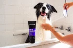 Šampon pro zvýraznění barvy srsti psa, 250 ml – Animology True Colours - Obrázek 5