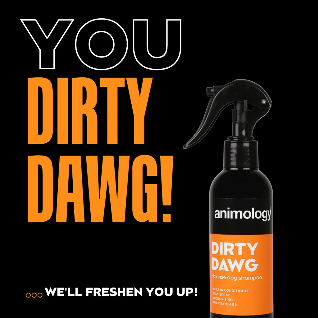 Šampon ve spreji pro psy bez oplachování, 250 ml – Animology Dirty Dawg - Obrázek 2