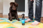 Šampon ve spreji pro štěňata bez oplachování, 250 ml – Animology Mucky Pup - Obrázek 2