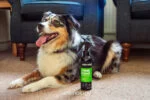 Sprej na srst pro psy proti zápachu, 250 ml – Animology Stink Bomb Deodorising Dog Spray - Obrázek 2