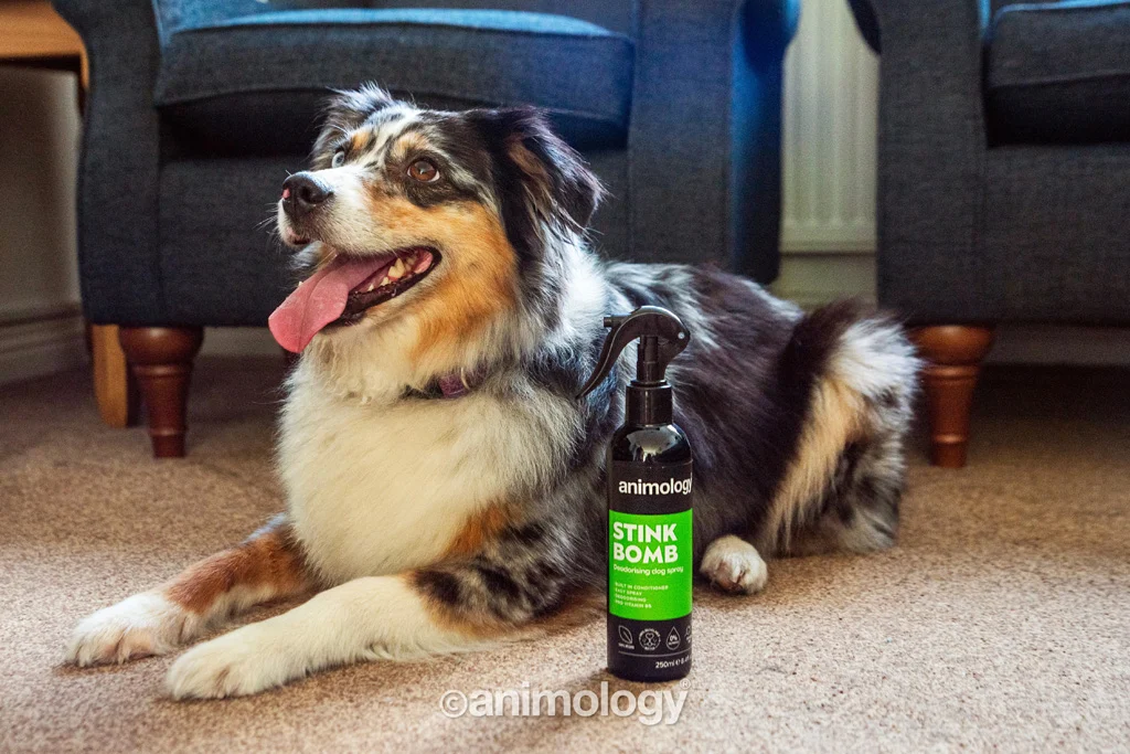 Sprej na srst pro psy proti zápachu, 250 ml – Animology Stink Bomb Deodorising Dog Spray - Obrázek 2