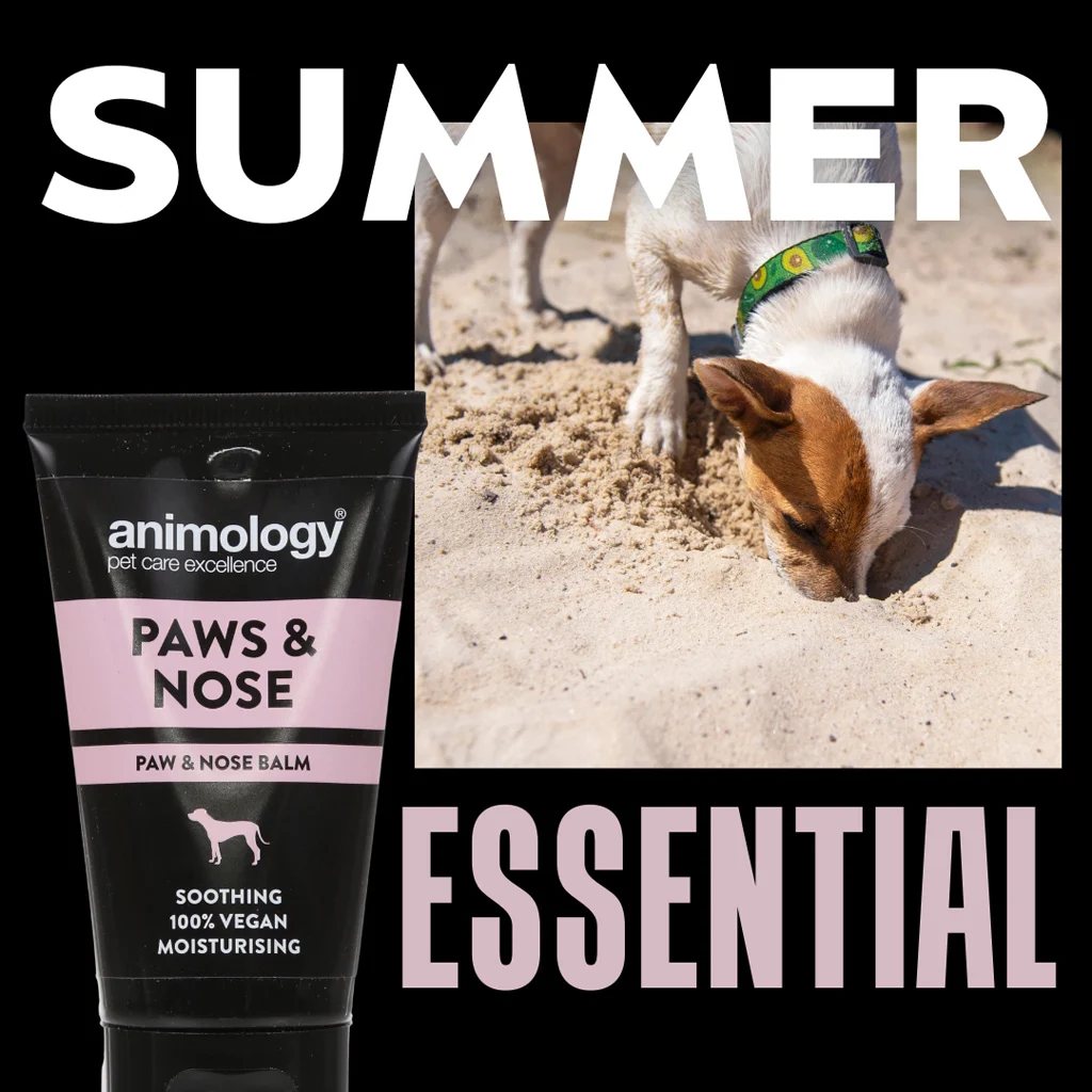 Balzám na tlapky pro psy, vhodný i na nos, 50 ml – Animology Paws & Nose Balm - Obrázek 2