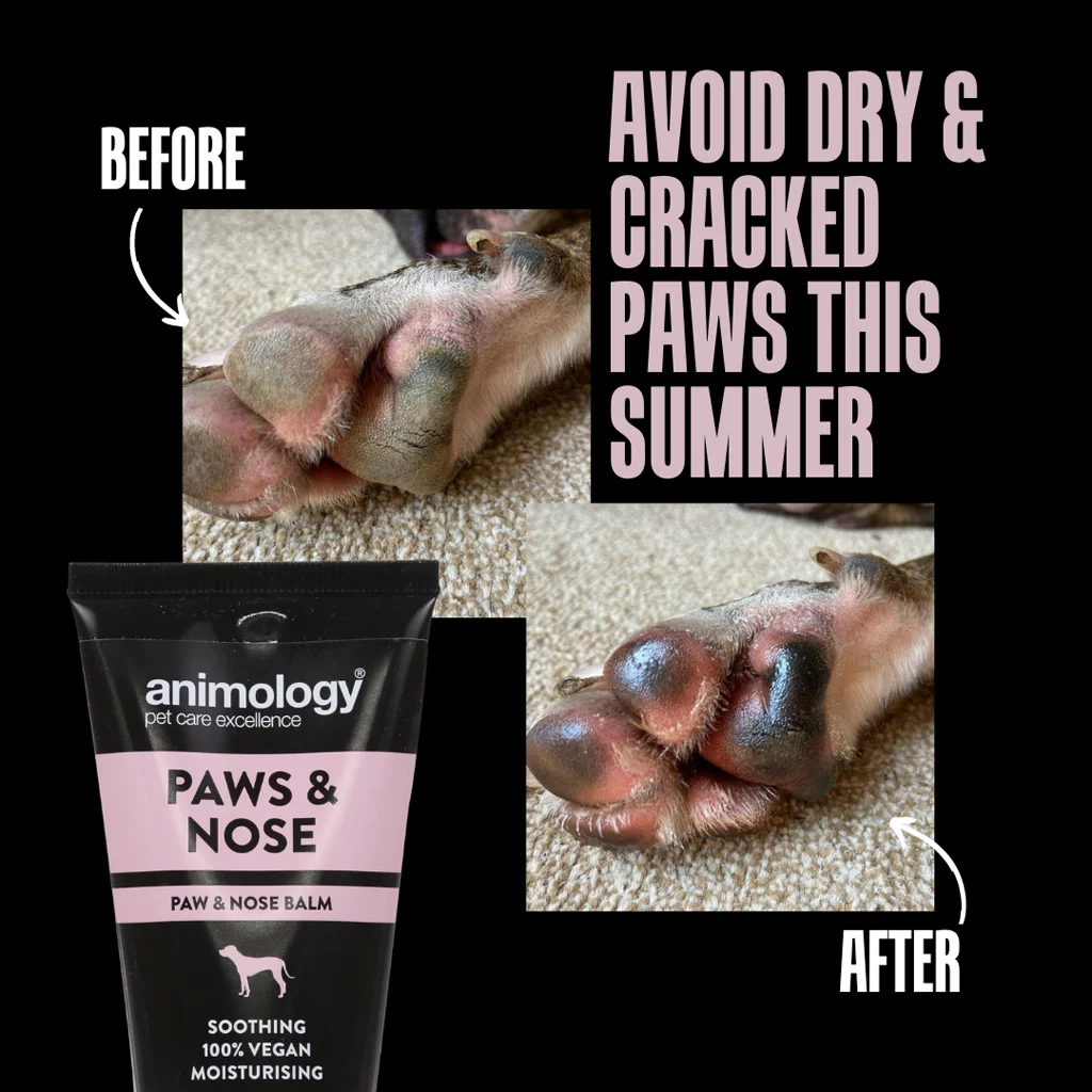 Balzám na tlapky pro psy, vhodný i na nos, 50 ml – Animology Paws & Nose Balm - Obrázek 3