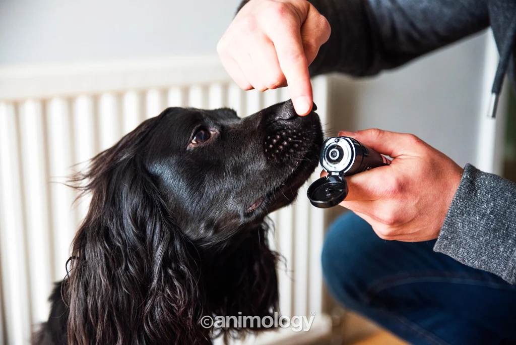 Balzám na tlapky pro psy, vhodný i na nos, 50 ml – Animology Paws & Nose Balm - Obrázek 4