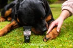Balzám na tlapky pro psy, vhodný i na nos, 50 ml – Animology Paws & Nose Balm - Obrázek 5