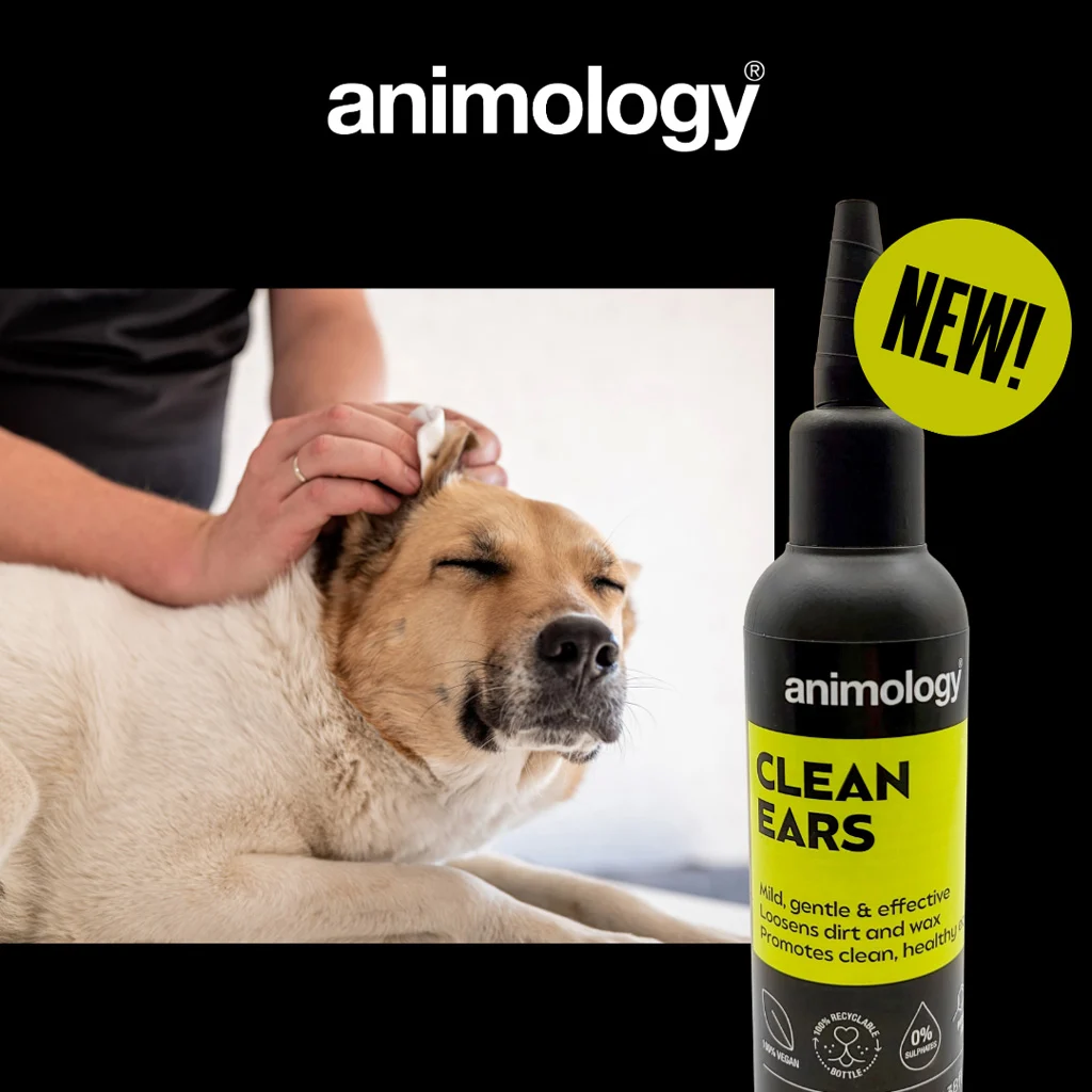 Čistič uší pro psy s aplikátorem, 100 ml – Animology Clean Ears - Obrázek 2
