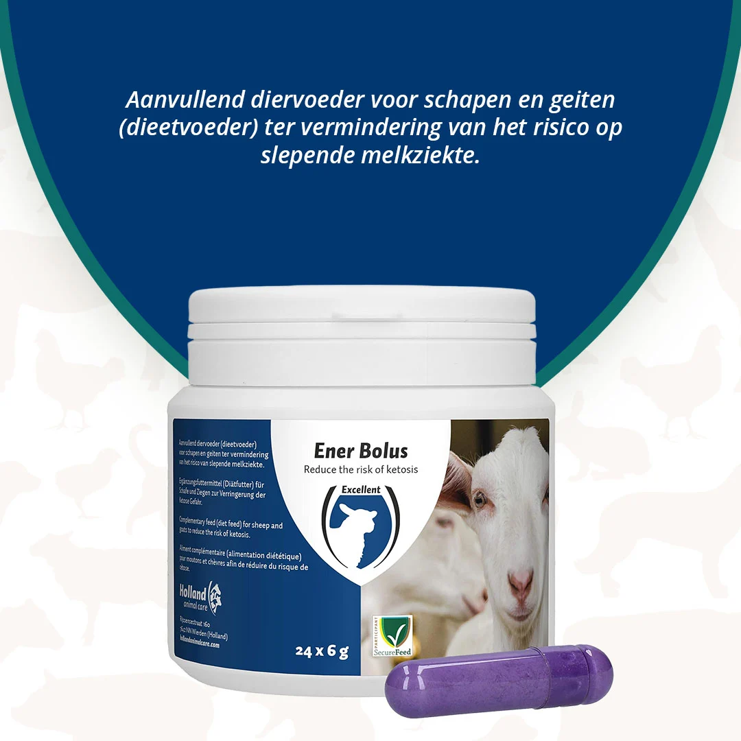 Energetický bolus pro ovce a kozy, 24 kusů – Excellent Ener Bolus Schaap & Geit - Obrázek 3
