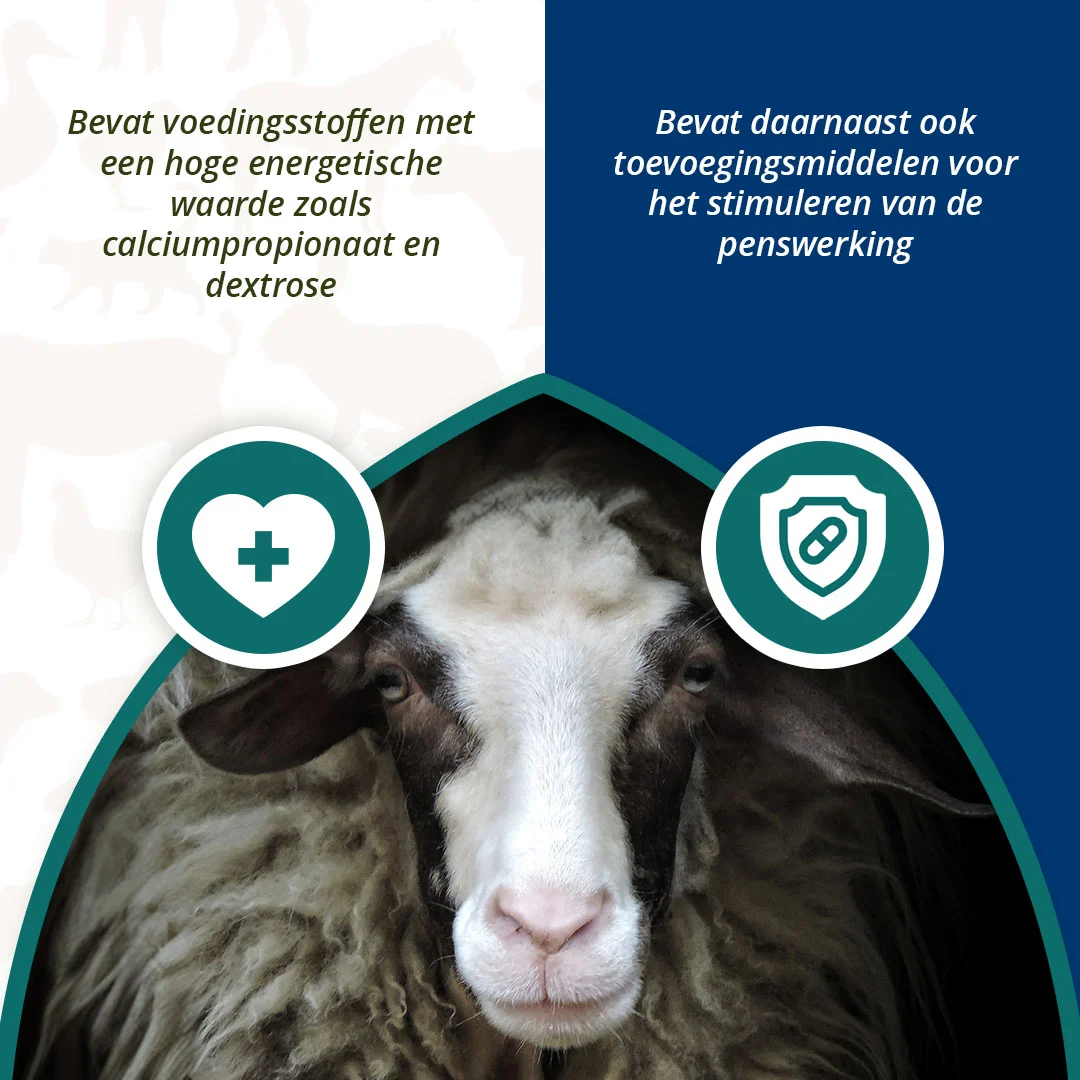 Energetický bolus pro ovce a kozy, 24 kusů – Excellent Ener Bolus Schaap & Geit - Obrázek 4
