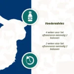 Energetický bolus pro ovce a kozy, 24 kusů – Excellent Ener Bolus Schaap & Geit - Obrázek 5