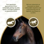 Jablečný ocet pro koně, 1 l – Excellent Horse Apple Vinegar - Obrázek 3