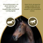 Pamlsky pro koně s česnekem, nízkocukerné, 1,2 kg – Excellent Horse Sweet Blocks - Obrázek 4