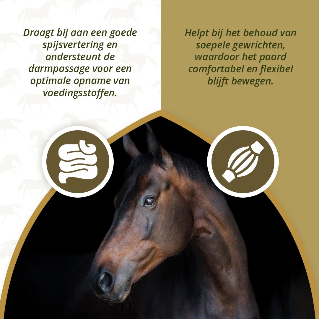 Rostlinný olej pro koně s omega 3 a 6, 1 l – Excellent Horse Omega Boost - Obrázek 3