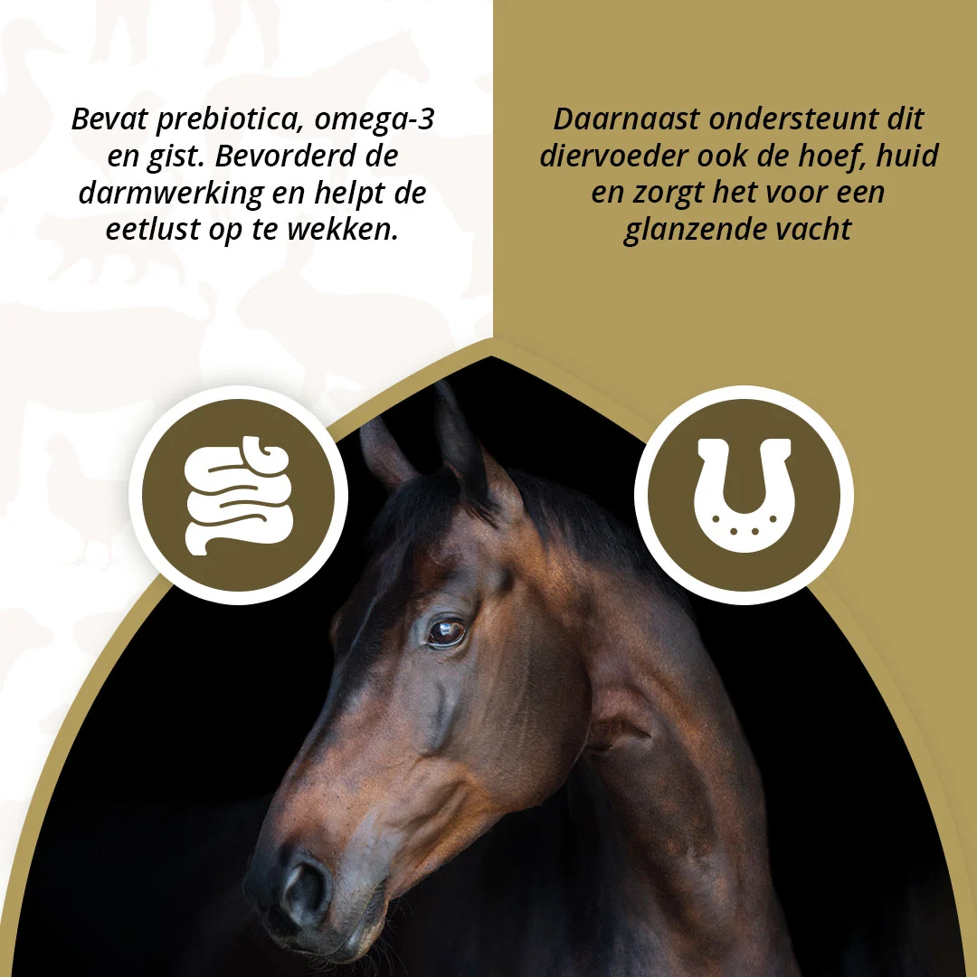 Prebiotika pro koně s omega 3 a kvasnicemi, 2,5 kg – Excellent Horse Prebiotics - Obrázek 3