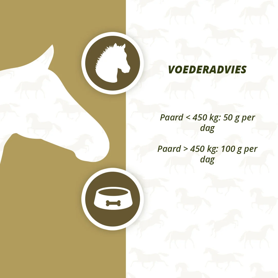 Prebiotika pro koně s omega 3 a kvasnicemi, 2,5 kg – Excellent Horse Prebiotics - Obrázek 4