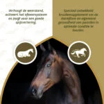 Bylinný doplněk krmiva pro koně s česnekem a mátou, 1,5 kg – Excellent Horse Parex - Obrázek 3