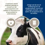 Bolus pro dojnice na podporu zdraví vemene s černým česnekem, 4 x 60 g – Direct Bolus Udder Support - Obrázek 4