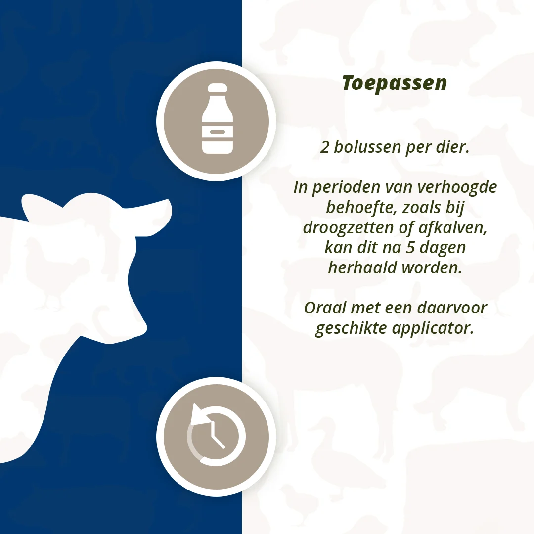 Bolus pro dojnice na podporu zdraví vemene s černým česnekem, 4 x 60 g – Direct Bolus Udder Support - Obrázek 5