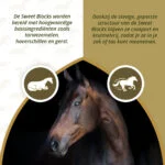 Pamlsky pro koně s bylinkami, 1 kg – Excellent Horse Sweet Blocks Herbs - Obrázek 3
